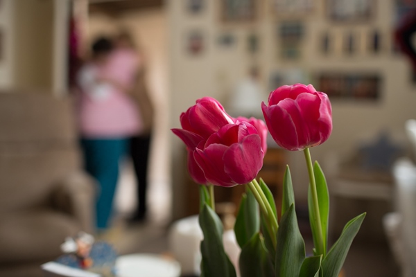 Meals on Wheels- red tulips